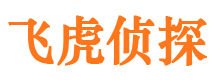 临泉市私家调查